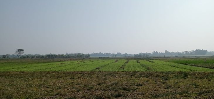 Дело Сучитры Бисвас в Западной Бенгалии, Индия – Часть #2.